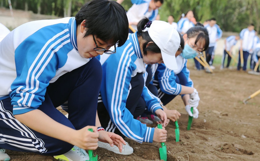 這一課：向土地“學(xué)習(xí)”