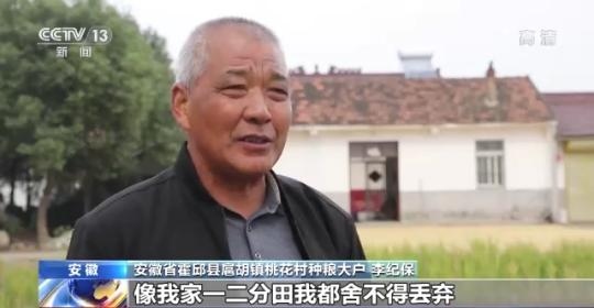 十八連豐！秋收近九成 我國糧食產(chǎn)能穩(wěn)步提升