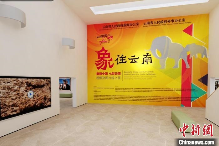 圖為“象”往云南——美麗中國 七彩云南視頻及圖片線上展截圖?！『h航 攝