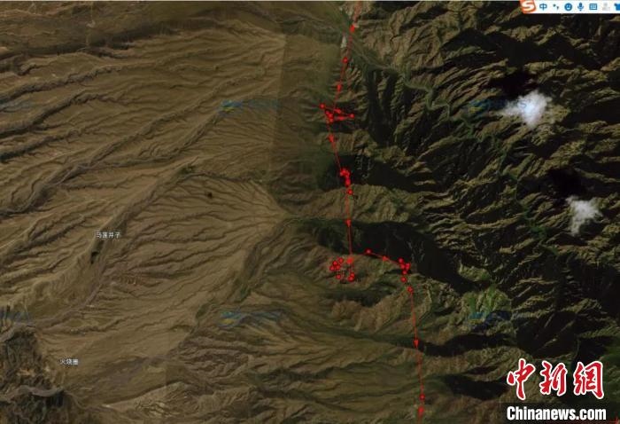 圖為雪豹故地重游來到放歸地的足跡?！?nèi)蒙古賀蘭山國家級自然保護區(qū)供圖