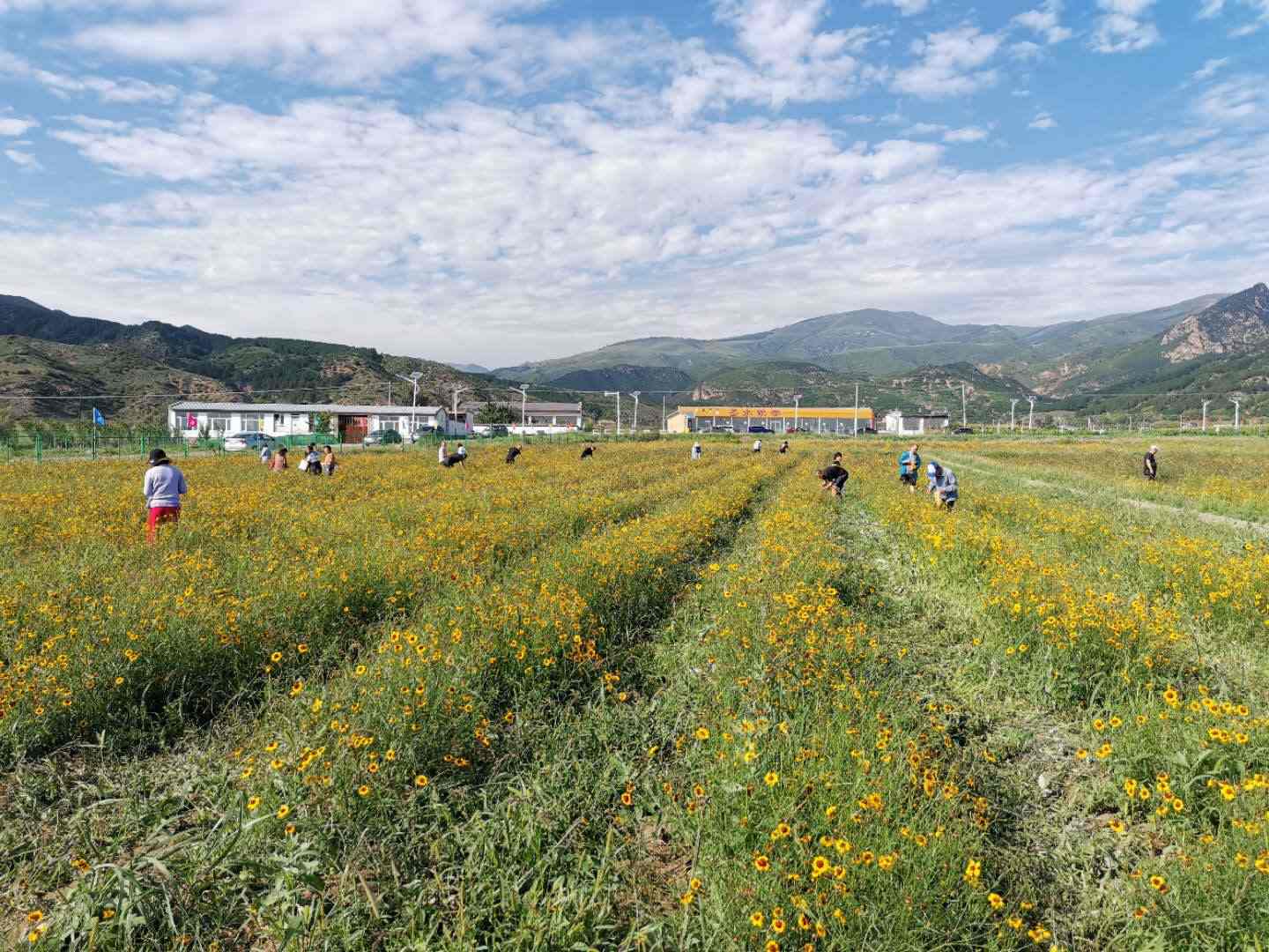 1597629094172731.jpg 微信圖片_20200817095115.jpg