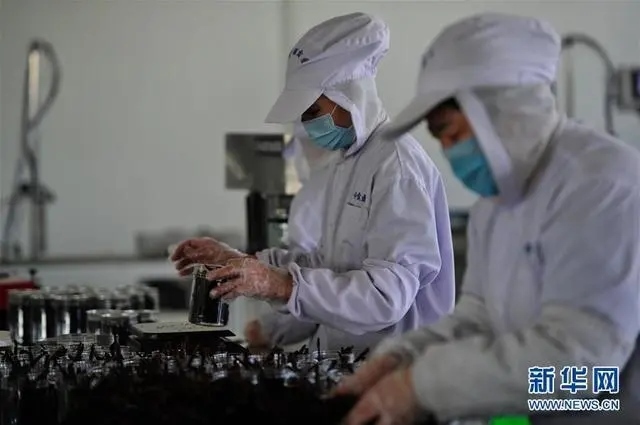 1611568195513056.jpg 666.webp.jpg