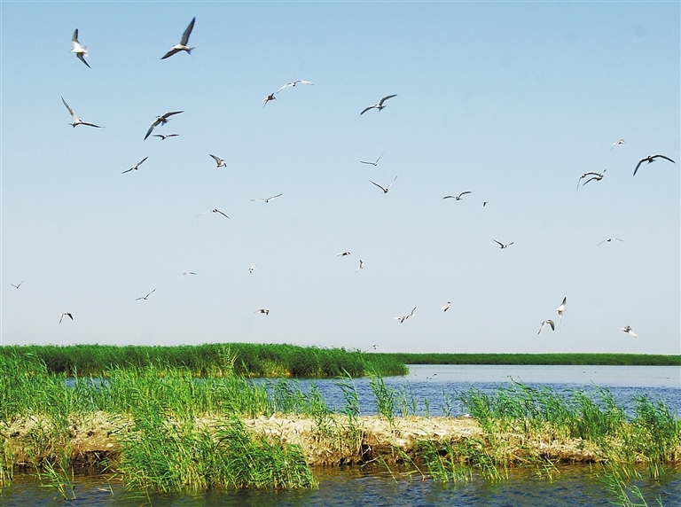 1633403238566587.jpg 1798645_wt_1633359109921_s.jpg