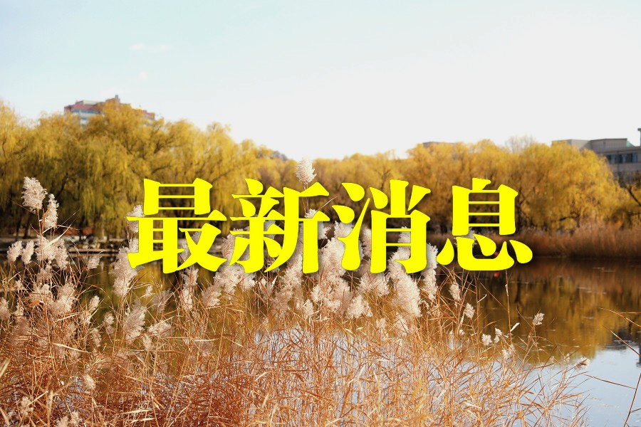 1634442216104012.jpg 1631520593201704.jpg