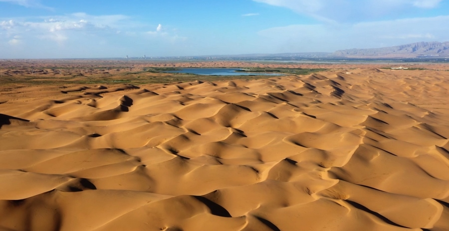 1663238166823542.png 31251f78390848dbb314f16bb5cf81d2_noop.png