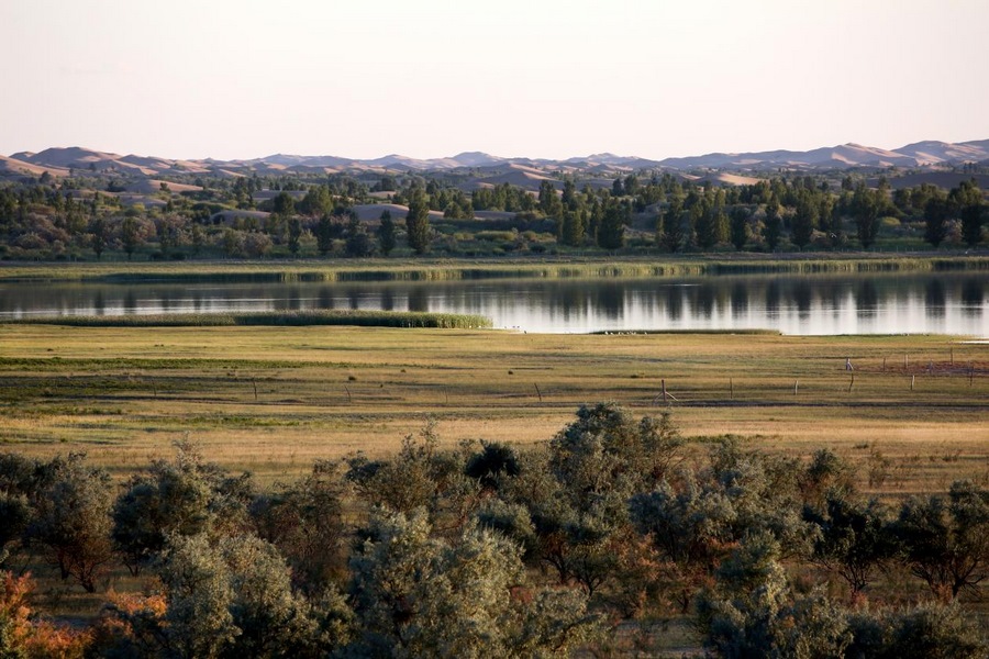 1686706835135180.png 圖片5.png