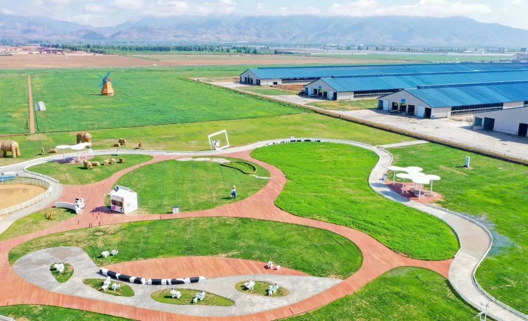 1691816608562253.jpg 8.jpg