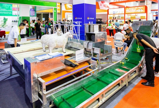 1692183416650253.jpg 2.jpg