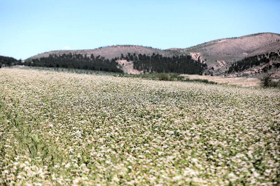 1692752461430274.jpg 7O5A7748.JPG