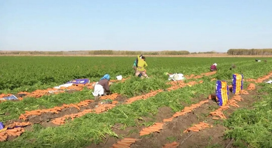 1698118241111250.png 2.png