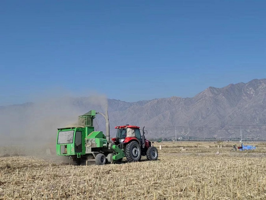 1698334993524041.png 01.png