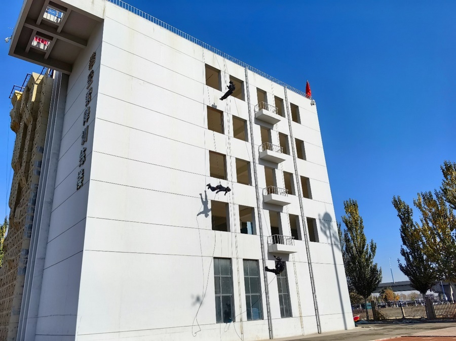 1698717713126108.png 5.png