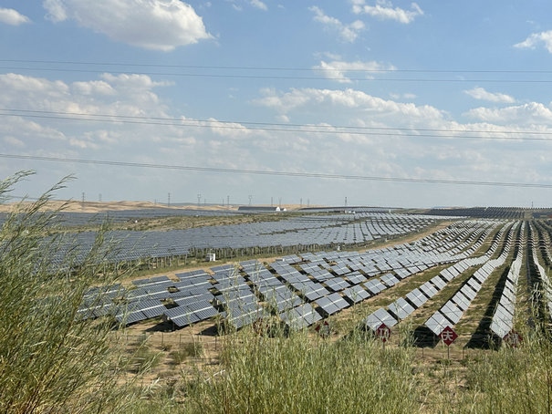 1703667268487162.jpg 2.jpg