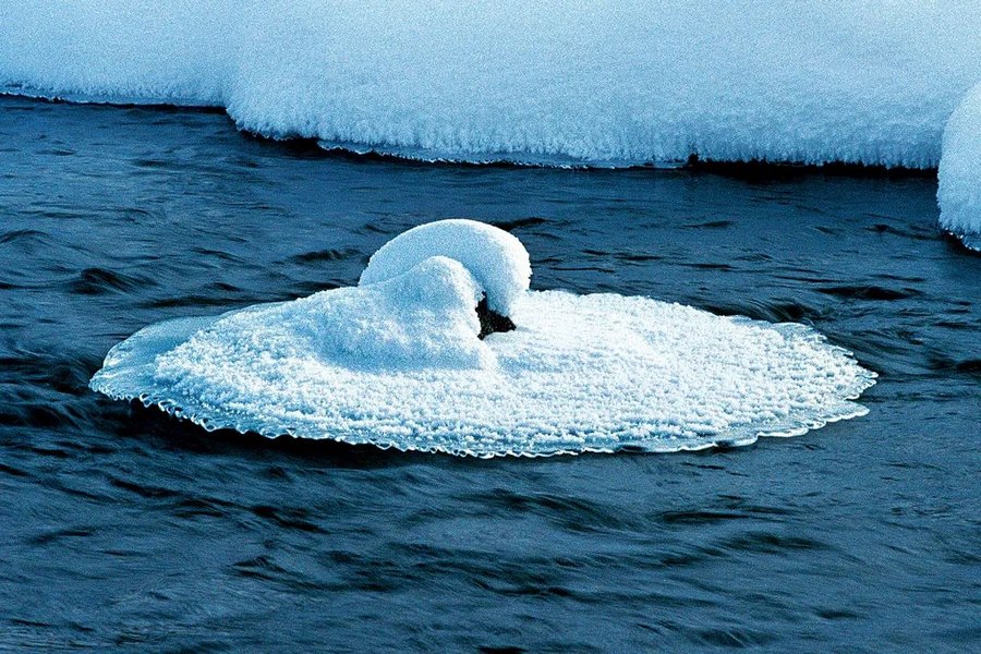 1703777217130416.png 圖片6.png