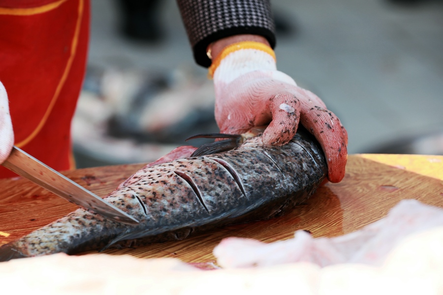 1708881929715489.jpg 7O5A7980.JPG