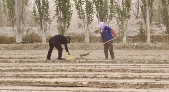 1713783668467239.png 第55個世界地球日1665.png