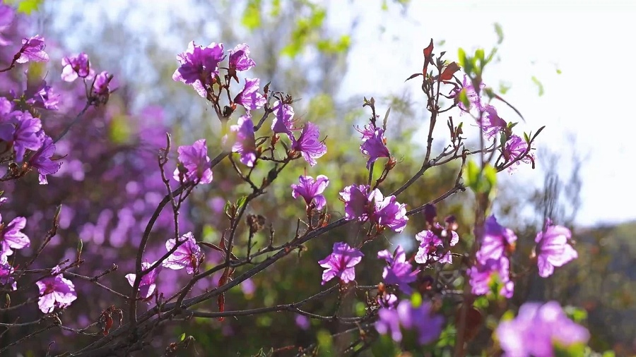 1715241873114808.png 1.png