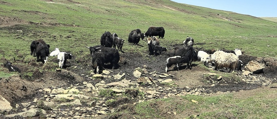 1718507605394343.jpg 微信圖片_20240616110157.jpg