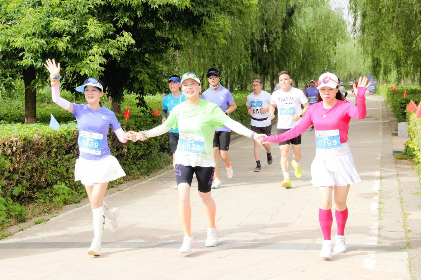 1719197560869155.jpg 微信圖片_20240624104937_副本.jpg