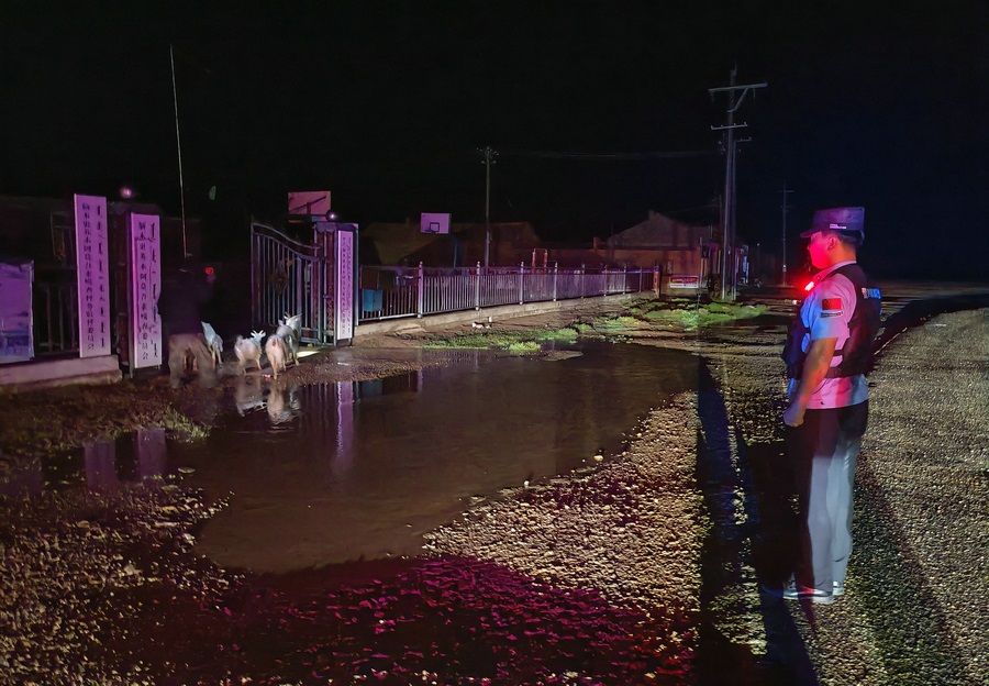 1723520229900224.jpg 20240813113353.jpg