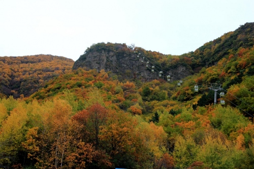 1727151580586523.png 66f1197d2a408.png