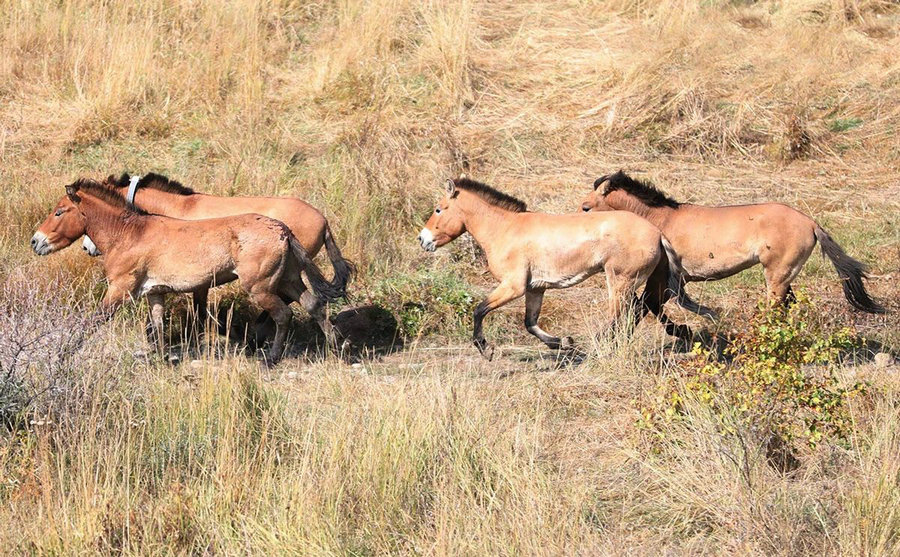 1735285882628565.jpg 1市醫(yī)院.jpg