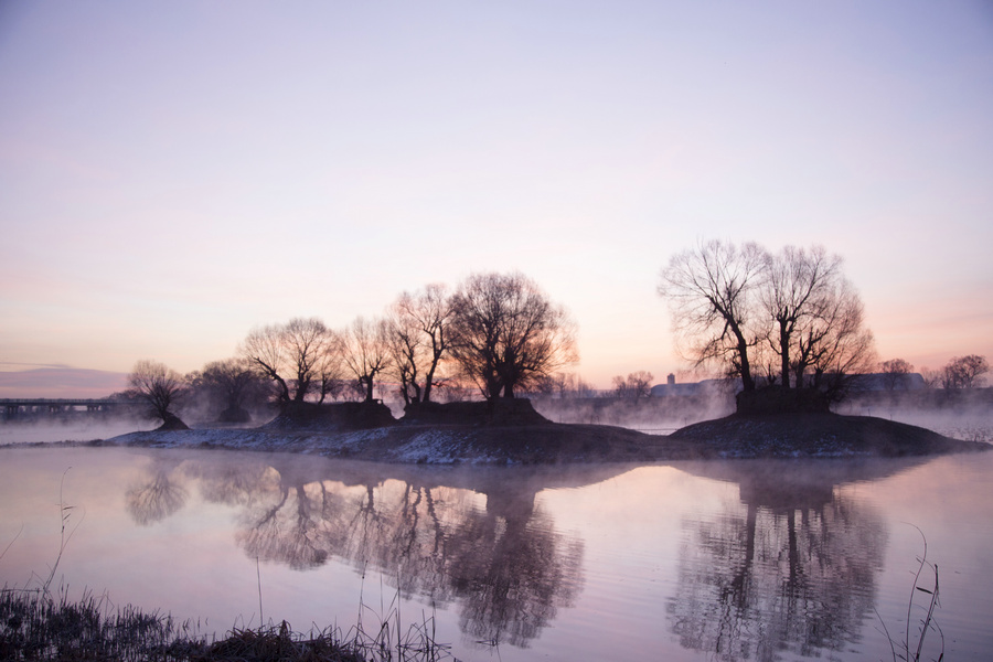 1736002962113177.jpg B94A6266.JPG