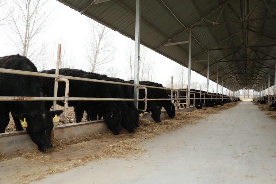 1743750895612170.jpg 7O5A7936(1).jpg