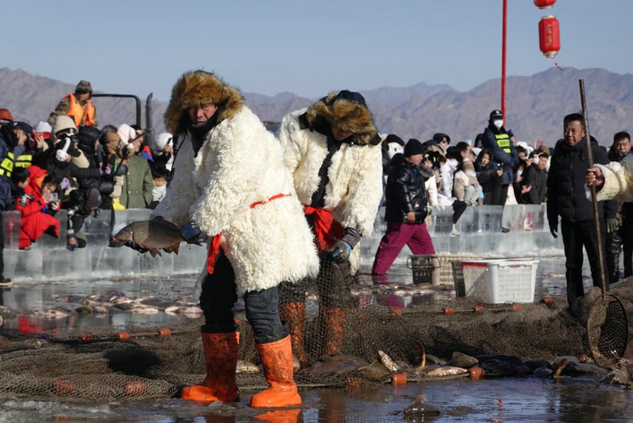 1768046443198075.jpg 魚3.jpg