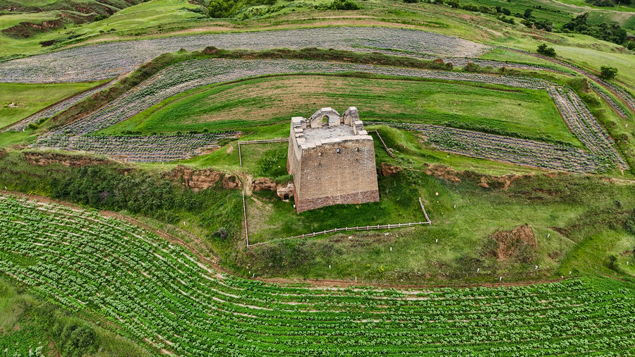 1772072105116641.jpg 9f11fc734a195a9719d570d74edc7fd3_1751820787233404.jpg