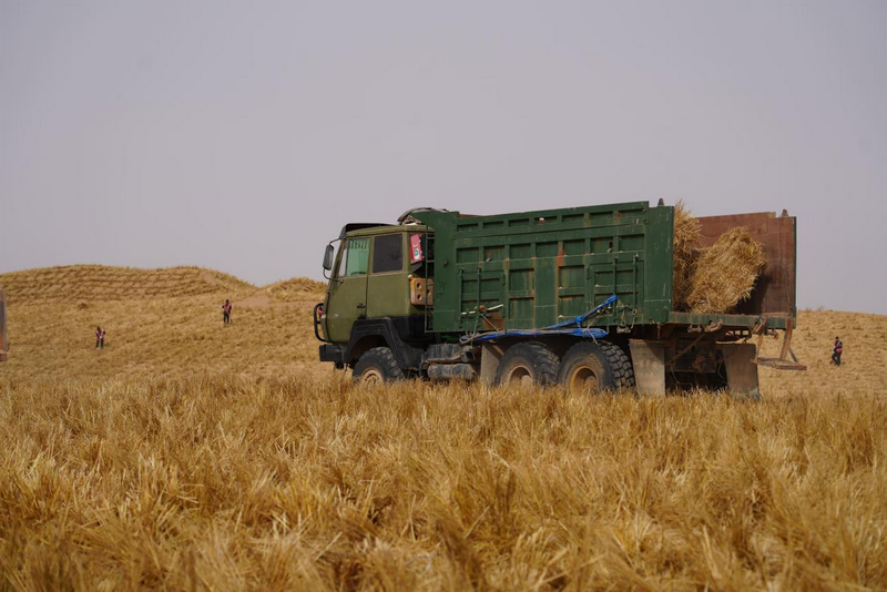 1772265385395031.png 阿拉善運(yùn)輸?shù)静?png