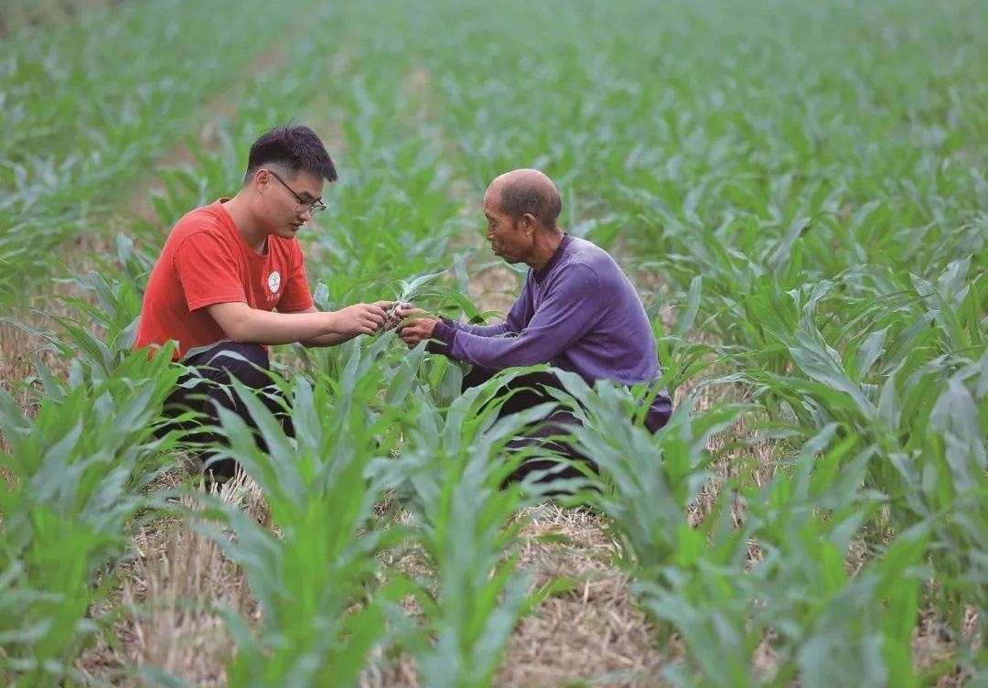 △科技小院的學生在給村民講解玉米種植知識。
