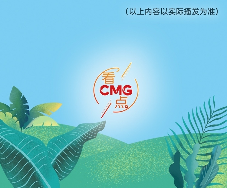 總臺(tái)周看點(diǎn)，來了！