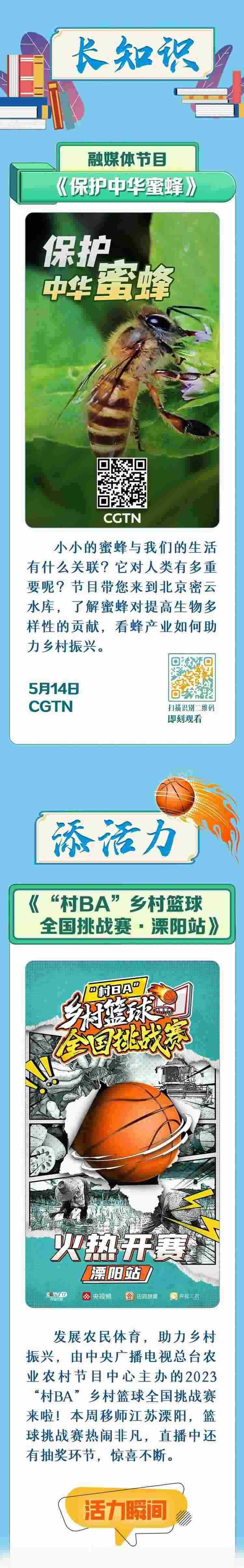 總臺(tái)周看點(diǎn)，來了！