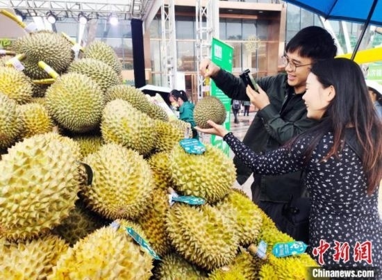 圖為廣西南寧市民在選購榴蓮。黃艷梅 攝