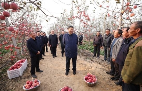 2022年10月26日，習(xí)近平總書(shū)記在陜西省延安市安塞區(qū)高橋鎮(zhèn)南溝村蘋(píng)果園同老鄉(xiāng)們親切交流。