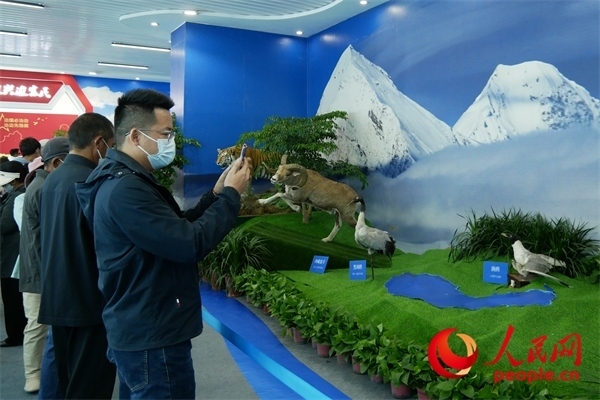 6月17日，觀眾正在觀展。人民網(wǎng) 韋衍行攝