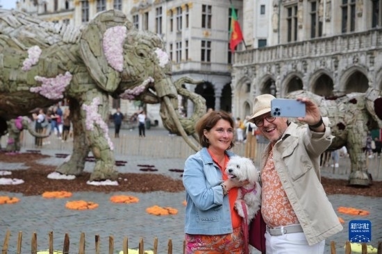 8月11日，觀眾在比利時(shí)布魯塞爾“鮮花時(shí)光”展覽上拍照。新華社記者 趙丁喆攝