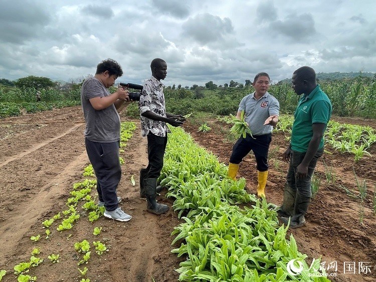 人民網(wǎng)記者走進(jìn)尼日利亞農(nóng)業(yè)技術(shù)示范中心。人民網(wǎng)記者 趙艷紅攝