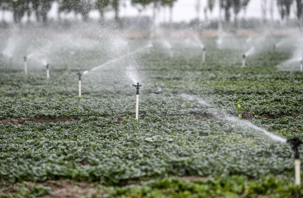 2023年5月25日，在寧夏銀川市永寧縣望洪鎮(zhèn)宋澄村冷涼蔬菜種植基地，小型噴灌節(jié)水設備在進行噴灌作業(yè)。新華社記者 馮開華 攝