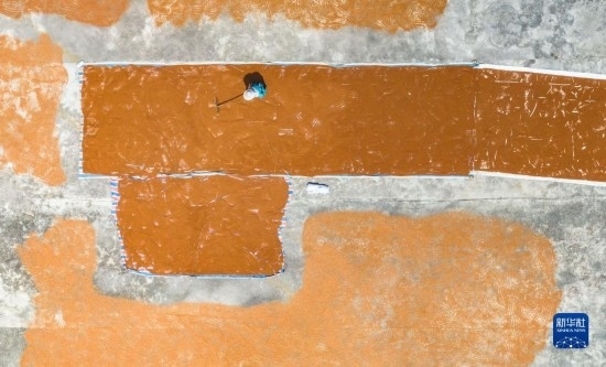 9月16日，農(nóng)民在貴州省安順市西秀區(qū)大西橋鎮(zhèn)吉昌村晾曬高粱（無人機照片）。