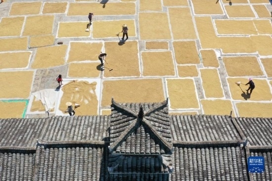 9月16日，村民在貴州省黔東南苗族侗族自治州從江縣剛邊壯族鄉(xiāng)三聯(lián)村晾曬稻谷（無人機照片）。