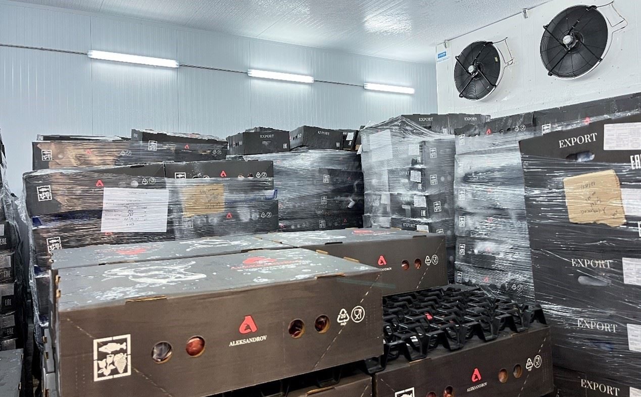 恒溫冷庫(kù)中，包裝好的牛肉等待發(fā)往中國(guó)。人民網(wǎng)記者 朱虹攝