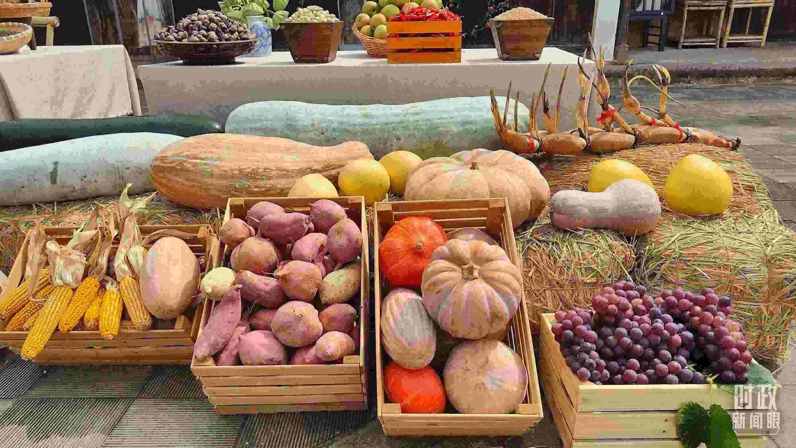 △村廣場“共富市集”，擺放著種類豐富的特色農(nóng)產(chǎn)品。（總臺(tái)央視記者楊立峰拍攝）