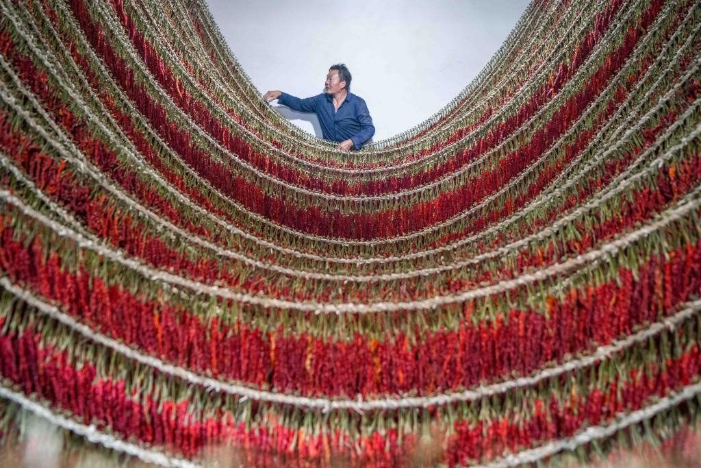 在貴州省畢節(jié)市大方縣理化鄉(xiāng)金雞村，村民查看辣椒烘干情況。新華社發(fā) 羅大富攝