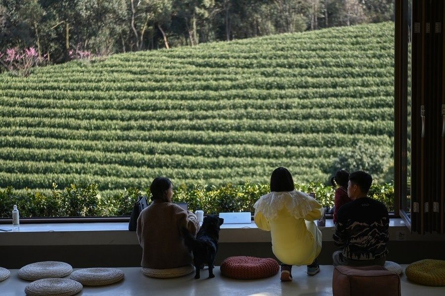 游客在浙江省安吉縣黃杜村萬畝茶園邊的咖啡館休閑（2023年2月21日攝）。