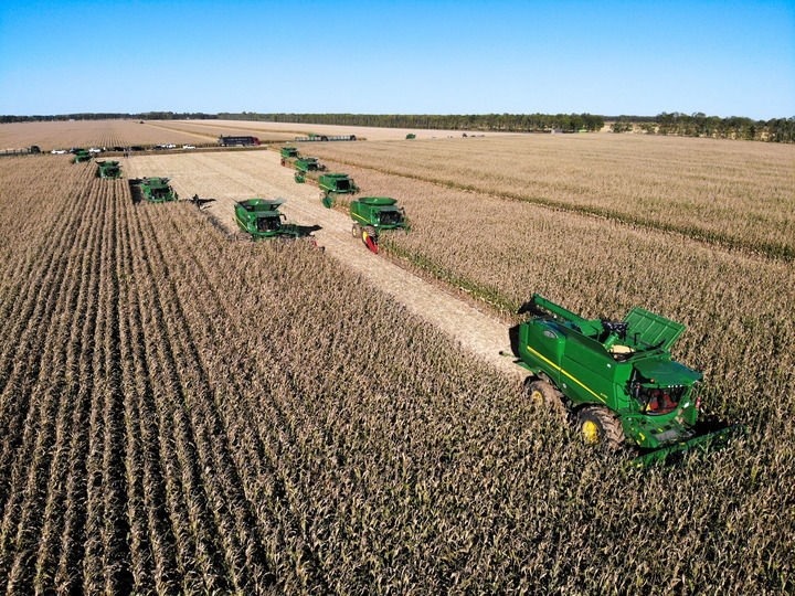 9月20日在位于黑龍江雙鴨山市友誼縣的北大荒農(nóng)業(yè)股份有限公司友誼分公司一地塊拍攝的秋收現(xiàn)場(chǎng)（無人機(jī)照片）。新華社記者 王松 攝
