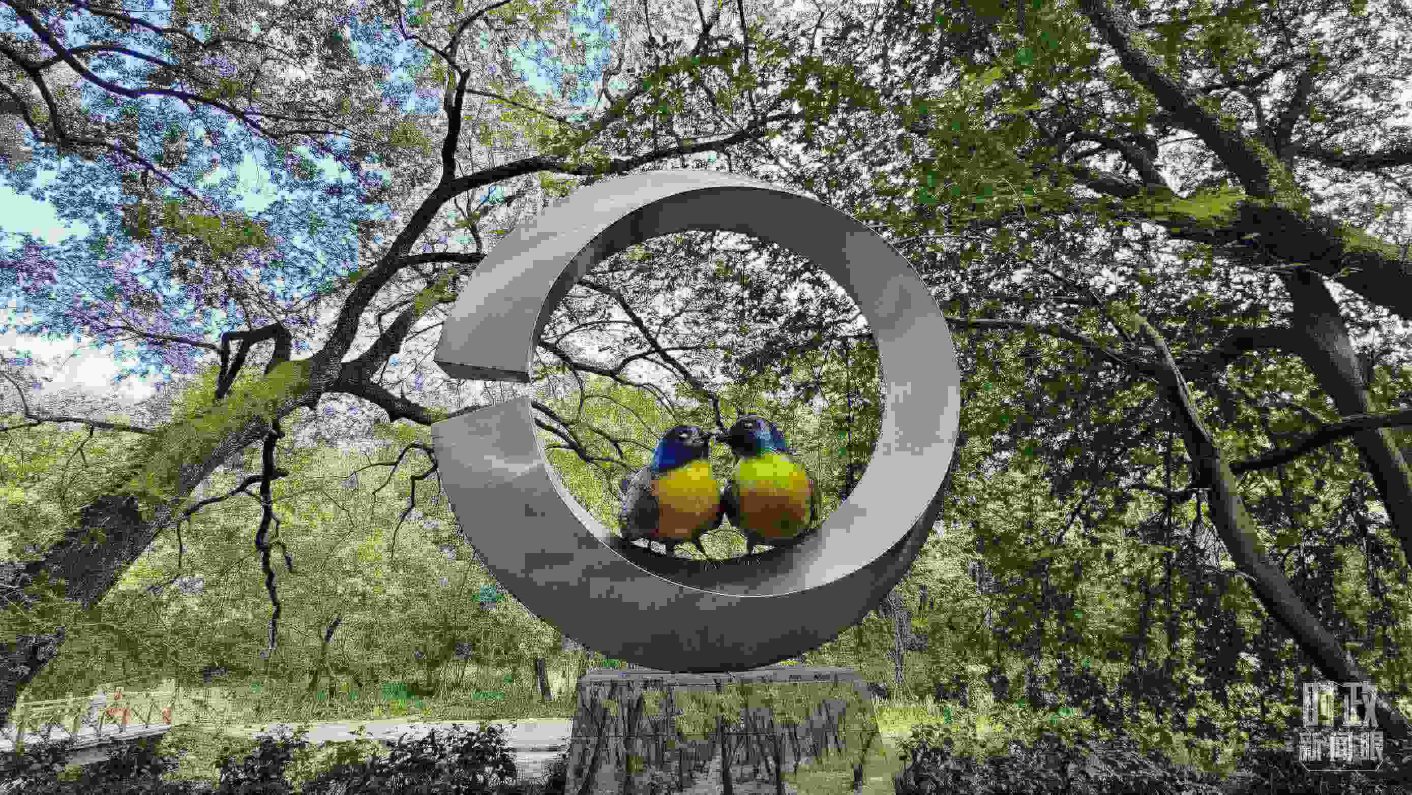 △石門村里的藍(lán)冠噪鹛雕像。（總臺央視記者許永松拍攝）