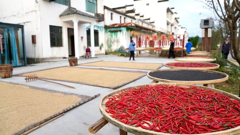 近日拍攝的江西省上饒市婺源縣秋口鎮(zhèn)王村石門自然村。新華社記者 胡晨歡 攝