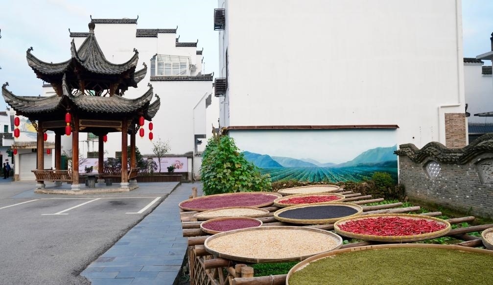 近日拍攝的江西省上饒市婺源縣秋口鎮(zhèn)王村石門自然村曬秋場景。新華社記者 胡晨歡 攝